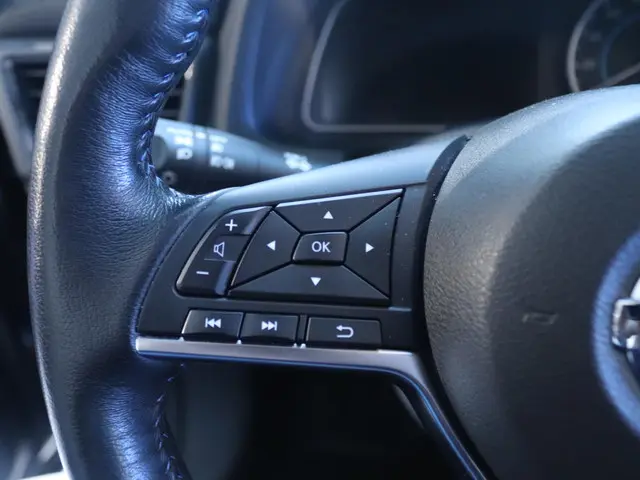 Nissan Leaf Tekna 40 kWh 2019 Elektrisch 22