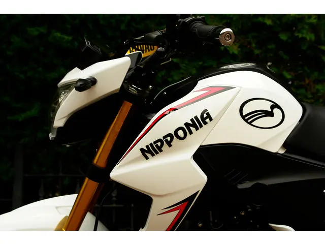 Honda Monkey GROME | 125 A1 A2 2021 Benzine 22