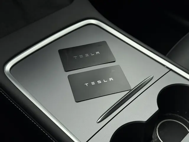 Tesla Model Y Long Range AWD Dual 2024 Elektrisch 28