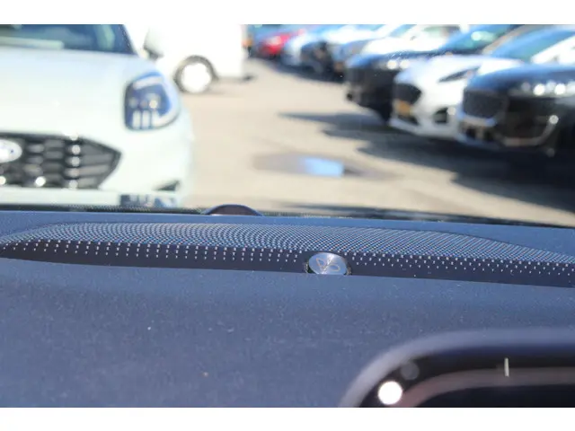 Ford Kuga 2.5 PHEV ST-Line X 2022 Hybride Benzine 16