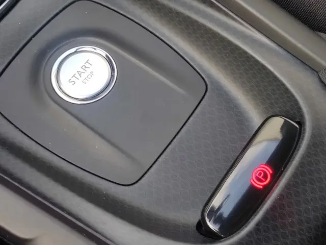 DS DS 4 1.2 '1955' !! VERKOCHT !! 2016 Benzine 24