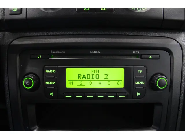 Škoda Fabia 1.2 TSI Arctic 2013 Benzine 10