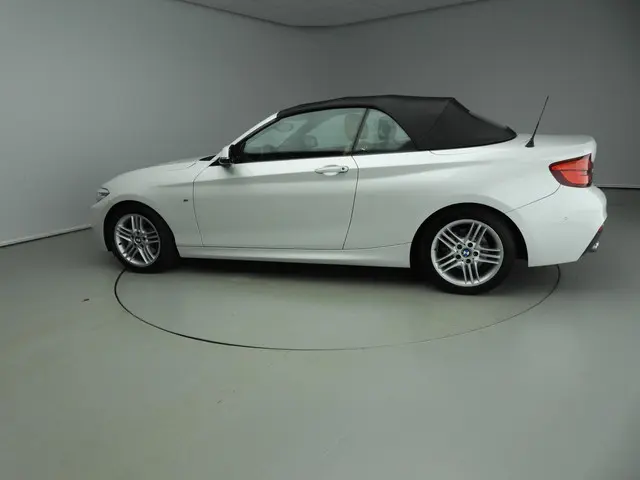 BMW 2 Serie Cabrio 220i 2018 Benzine 52