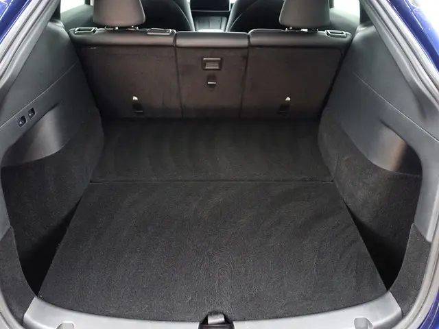 Tesla Model Y Long Range AWD 75 kWh- 2021 Elektrisch 26