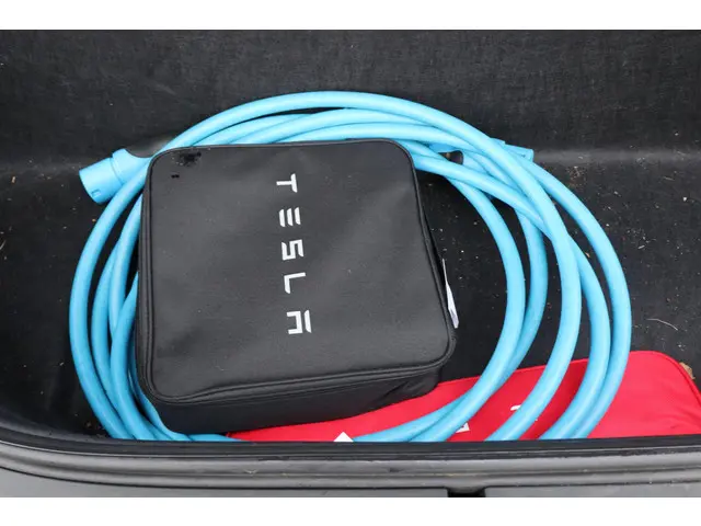 Tesla Model X 100D 6p. 2018 Elektrisch 21