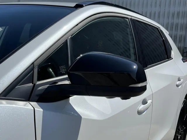 Toyota bZ4X 71 kWh 2023 Elektrisch 39