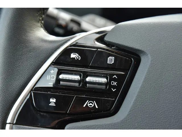 Kia Niro EV ComfortLine 64.8 kWh 2022 Elektrisch 10