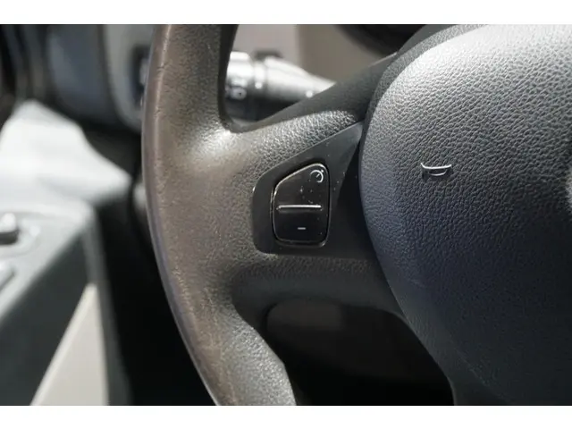 Renault Trafic 1.6 dCi T29 L2H1 Comfort 2018 Diesel 20