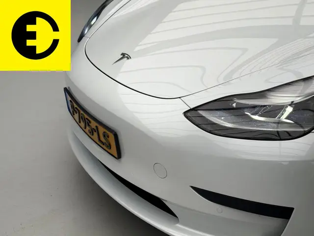 Tesla Model 3 Standard RWD Plus 60 kWh 2021 Elektrisch 2