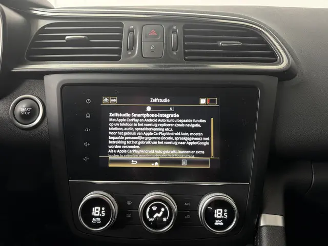 Renault Kadjar 1.3 TCe Intens 2020 Benzine 42