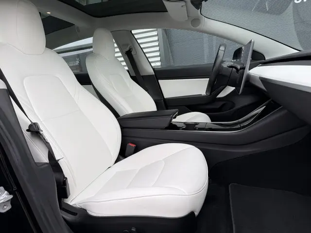 Tesla Model 3 Long Range AWD 75 kWh 2019 Elektrisch 26