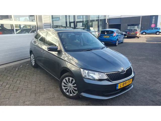 Škoda Fabia 1.2 TSI Monte Carlo 2017 Benzine 28