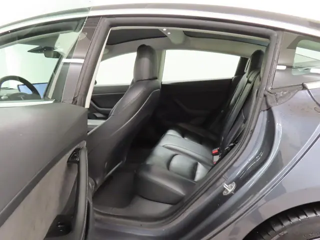 Tesla Model 3 Standard RWD Plus 60 kWh 2020 Elektrisch 7