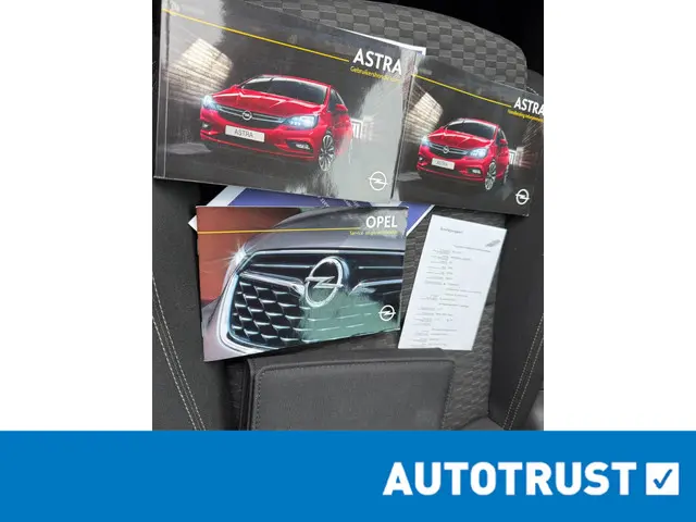 Opel Astra 1.6 CDTI Business+ 2017 Diesel 20