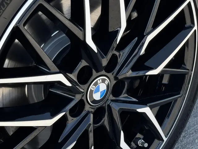 BMW X1 xDrive20i High Executive 2021 Benzine 6
