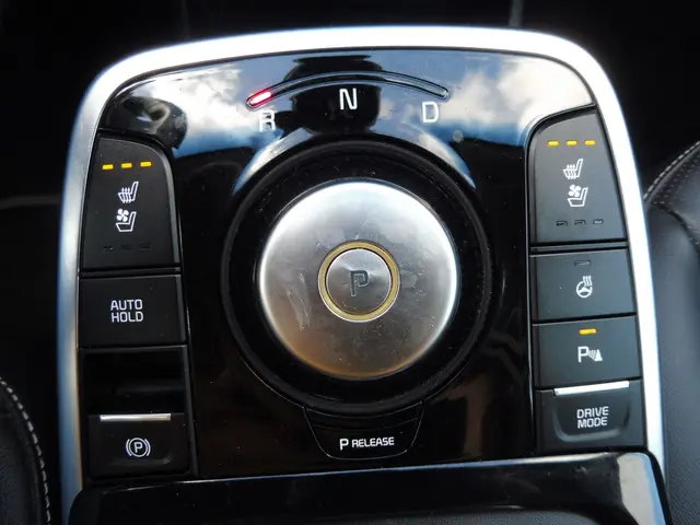 Kia e-Niro ExecutiveLine 64 kWh 2020 Elektrisch 12