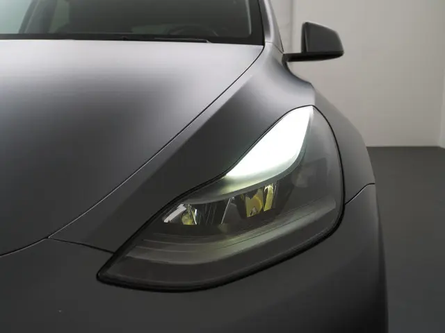 Tesla Model Y Long Range AWD 75 kWh 2021 Elektrisch 14