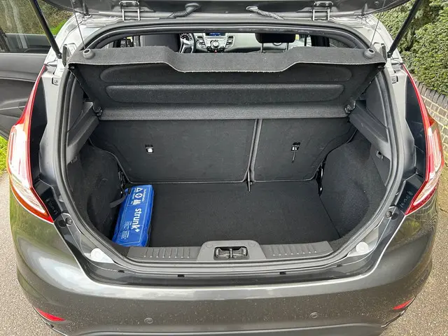 Ford Fiesta RS uitvoering 2017 Benzine 7