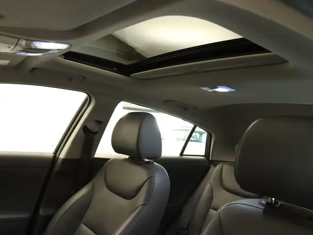 Hyundai IONIQ Premium EV 2018 Elektrisch 48