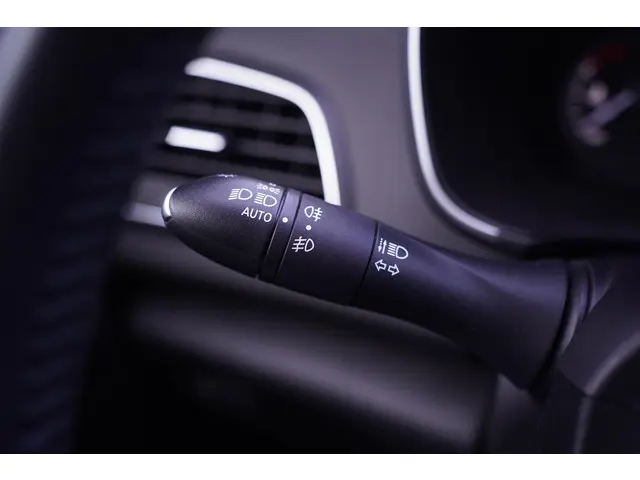 Renault Mégane 1.3 TCe Limited 2019 Benzine 22