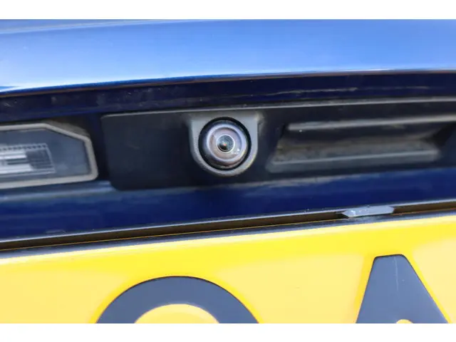 Tesla Model 3 Standard RWD Plus 60 kWh 2020 Elektrisch 19