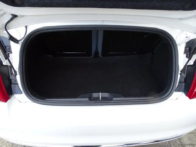 Fiat 500C 0.9 TwinAir Turbo Automaat 2015 Benzine 14