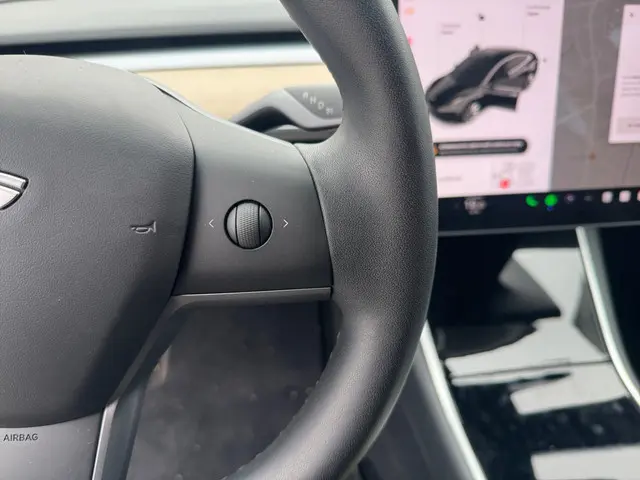 Tesla Model 3 Long Range AWD 75 kWh 2019 Elektrisch 17