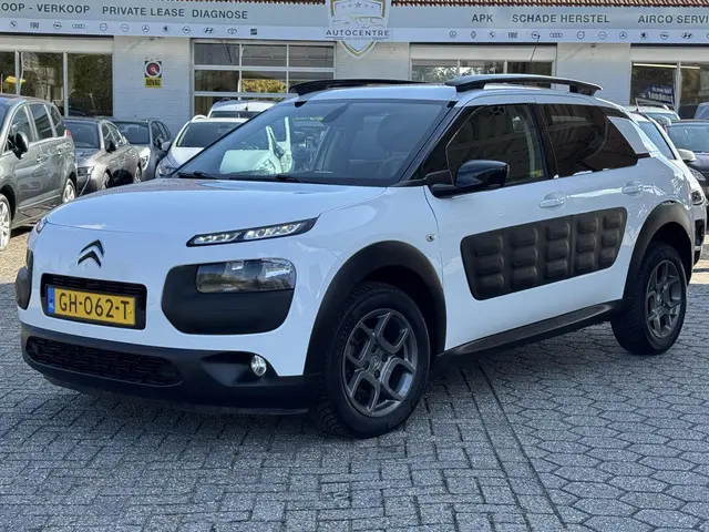Citroën C4 Cactus 1.2 PureTech Shine 2015 Benzine 3