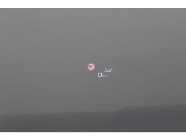 Audi RS6 Avant 4.0 TFSI Quattro 600 PK 2020 Benzine 49