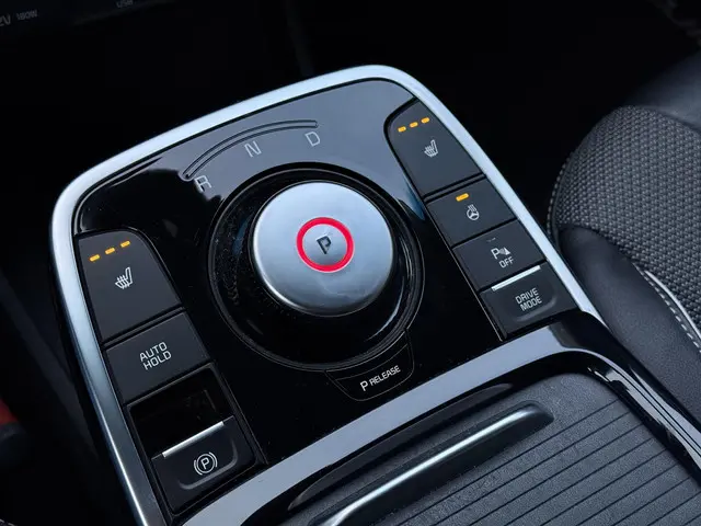 Kia e-Niro Aut. Dynamic Edition 64kWh 2021 Elektrisch 25