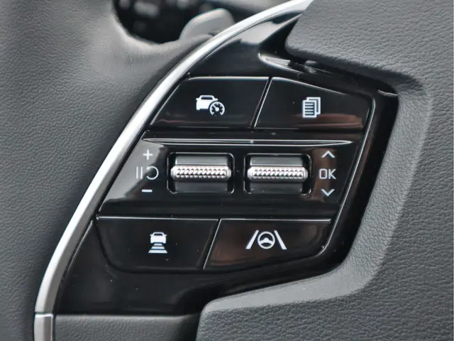 Kia Niro EV DynamicPlusLine 64.8 kWh 2024 Elektrisch 13