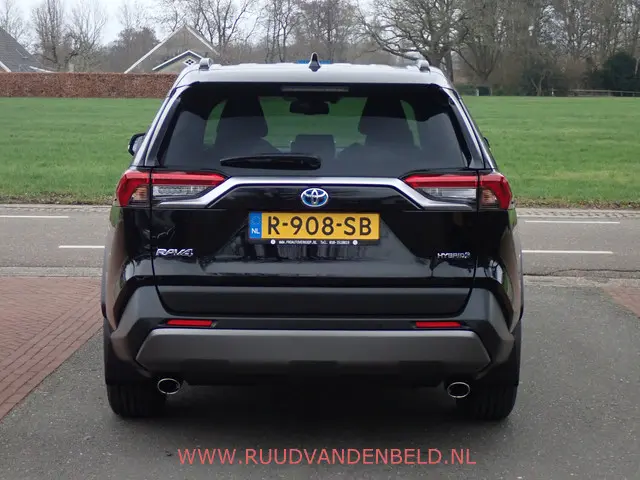 Toyota RAV4 2.5 Hybrid 2019 Hybride Benzine 4