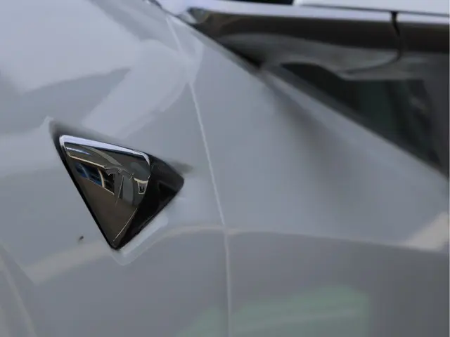 Tesla Model 3 Standard RWD Plus 60 kWh 2019 Elektrisch 12