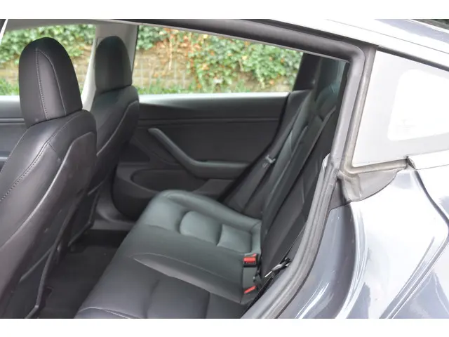 Tesla Model 3 Long Range AWD 75 kWh 2020 Elektrisch 8