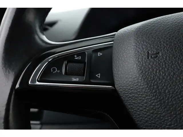 Škoda Fabia Combi 1.0 TSI Business Edition 2019 Benzine 9