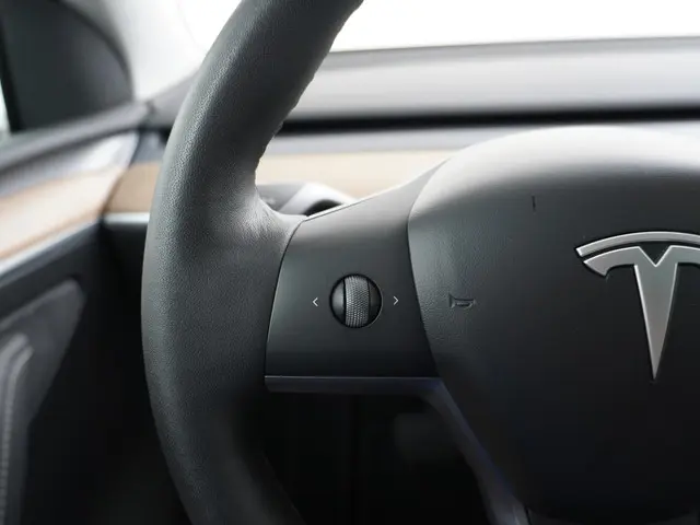Tesla Model Y Long Range AWD 75 kWh 2021 Elektrisch 29