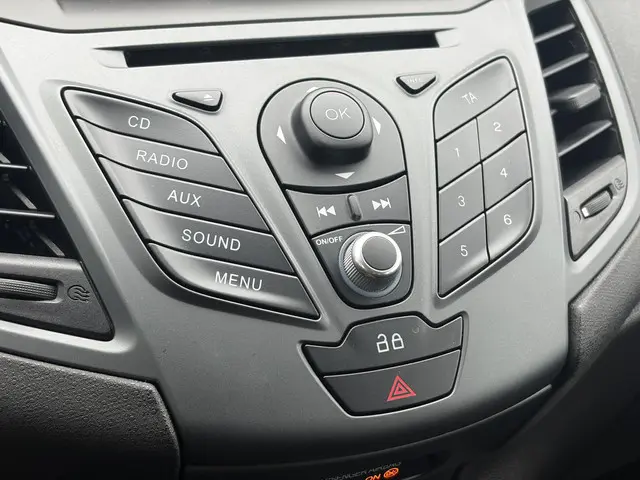 Ford Fiesta 1.0 Champion 2013 Benzine 12