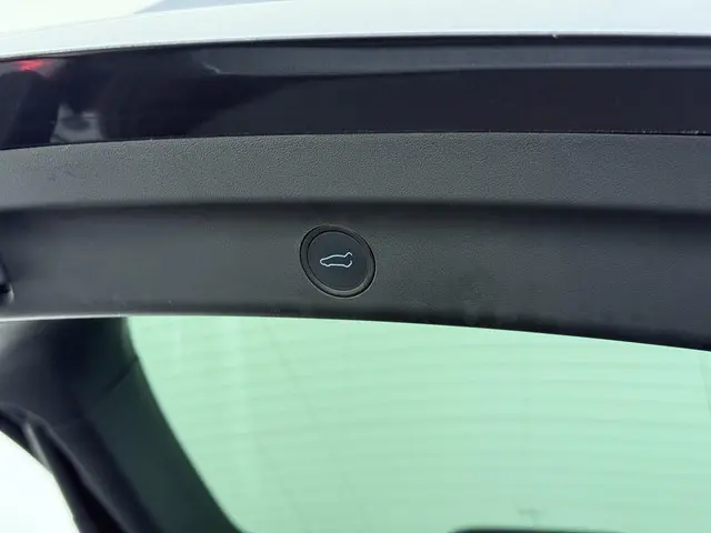 Tesla Model Y RWD 58 kWh 2023 Elektrisch 12