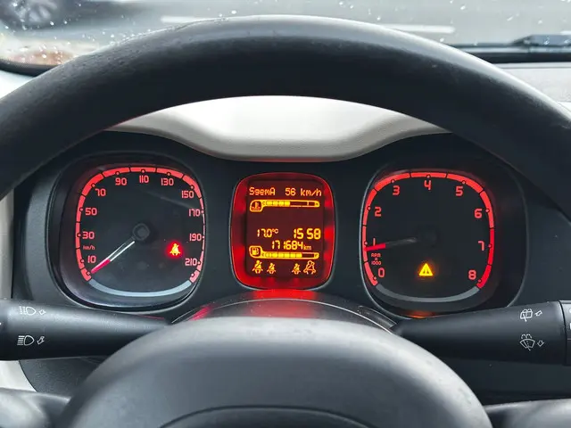 Fiat Panda 0.9 TwinAir Edizione Cool 2014 Benzine 12