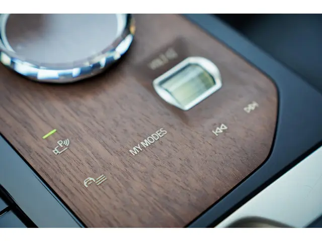 BMW iX xDrive40 Excellence 77 kWh 2022 Elektrisch 28