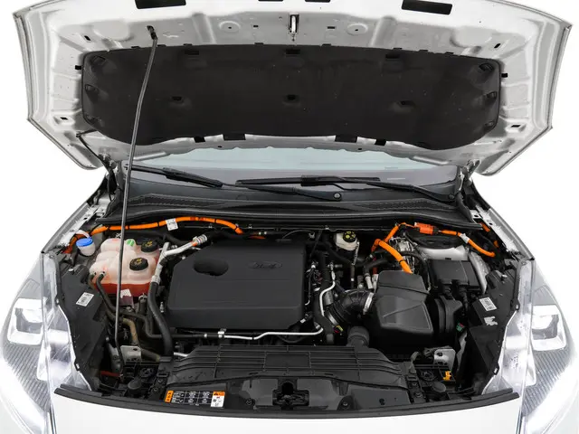 Ford Kuga 2.5 PHEV ST-Line X 2020 Hybride Benzine 28