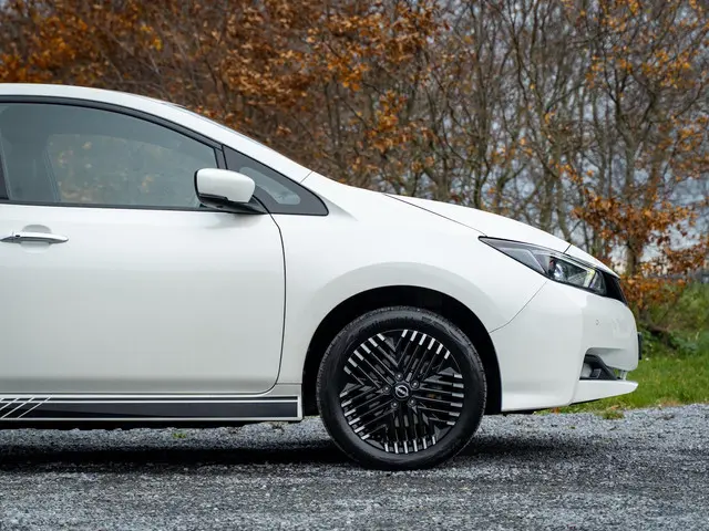 Nissan Leaf e+ N-Connecta 62 kWh 2022 Elektrisch 27