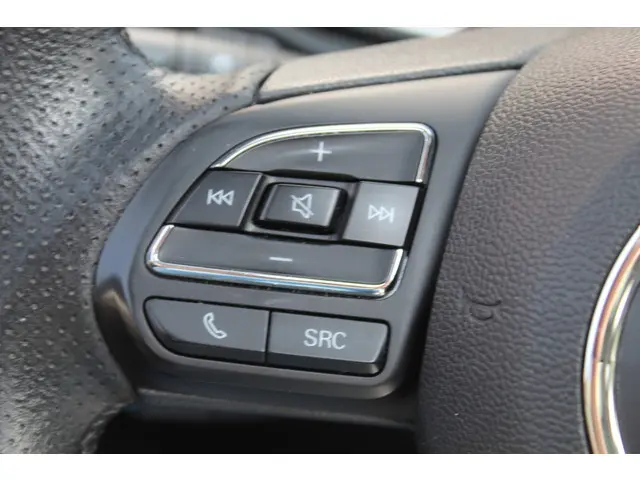 MG MG ZS EV Luxury 45 kWh//Pano//Camera!! 2019 Elektrisch 13