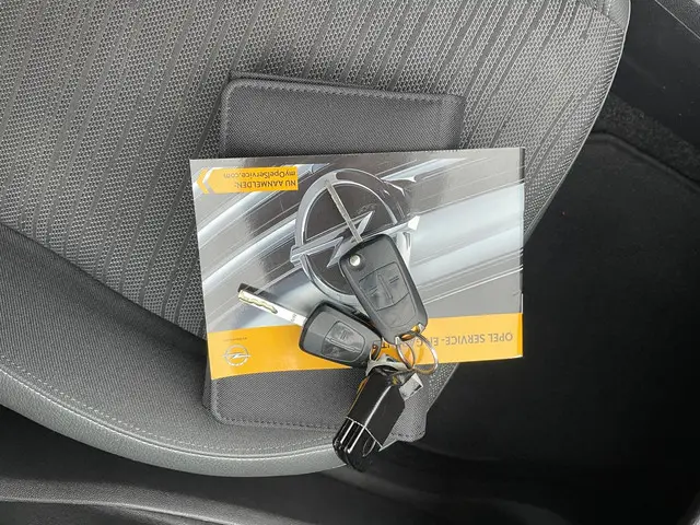 Opel Corsa 1.4-16V BlitZ 2014 Benzine 19