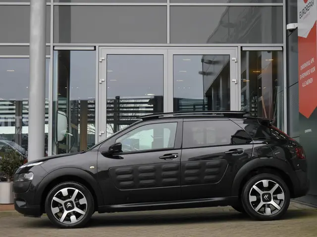 Citroën C4 Cactus 1.2 PureTech Business 2016 Benzine 2