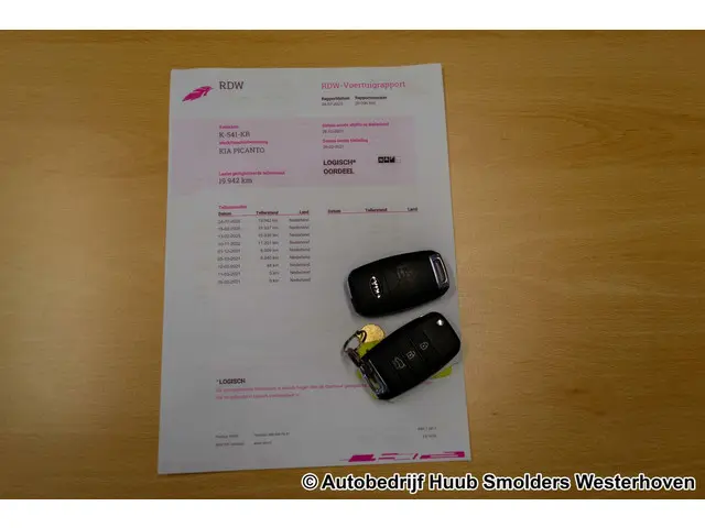 Kia Picanto 1.0 DPi DynamicLine Automaat 2021 Benzine 52