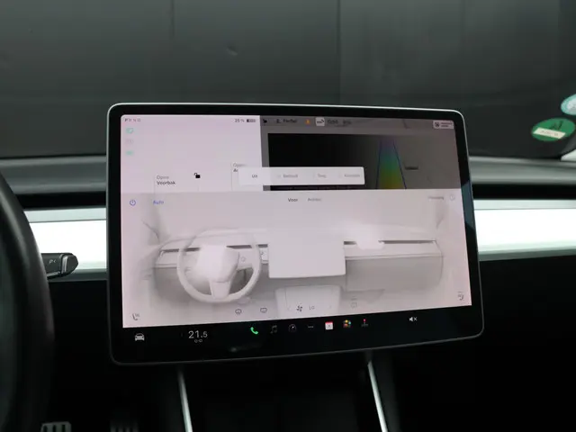 Tesla Model 3 Performance AWD 75 kWh 2019 Elektrisch 10