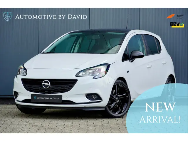Opel Corsa 1.0 TURBO 116 pk COLOR EDITION 2015 Benzine