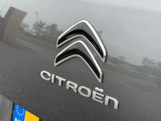 Citroën C4 Cactus 1.2 PureTech Feel 2018 Benzine 29