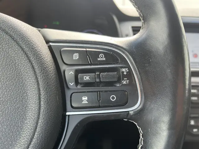 Kia e-Niro ExecutiveLine 64 kWh 2019 Elektrisch 43